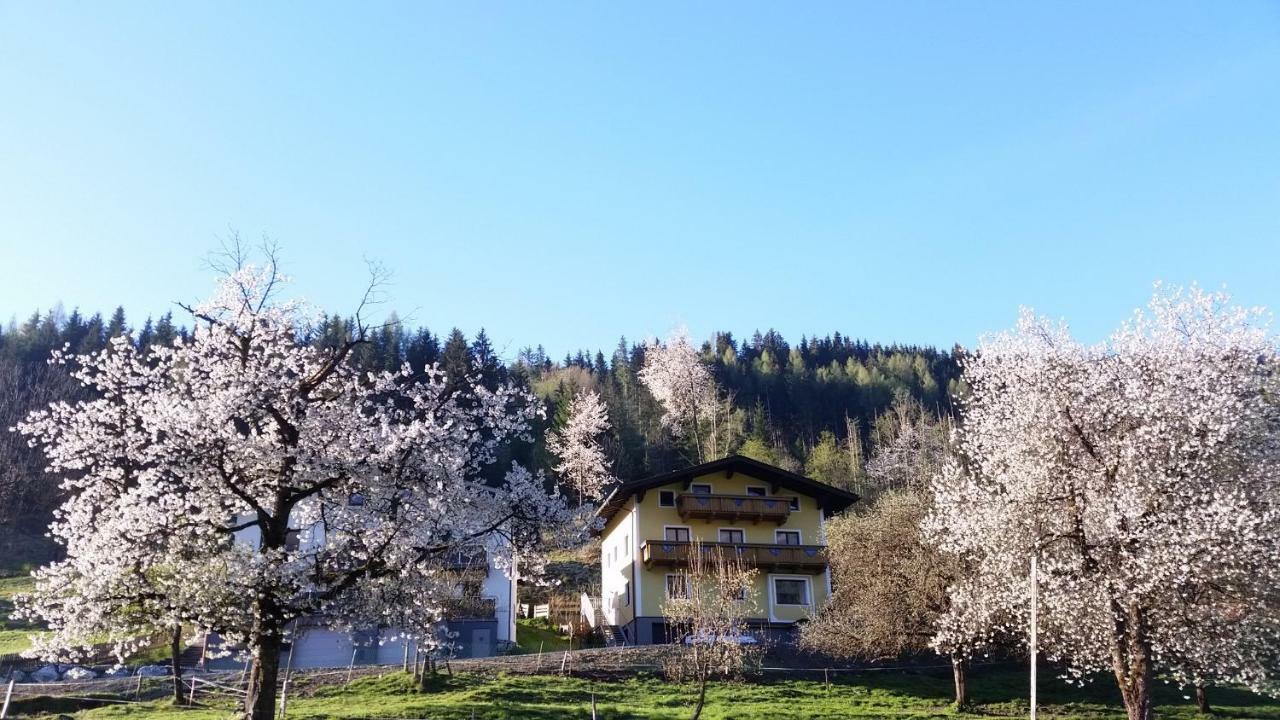 Ferienhaus Karin Fusch an der Glocknerstraße Exterior foto
